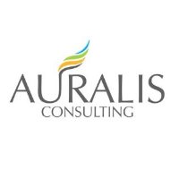 Auralis Consulting Pvt Ltd Image