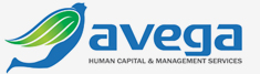 Avega Human Capital & Management Services Pvt Ltd Image