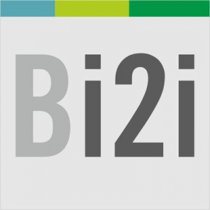 BRIDGEi2i Analytics Solutions Image