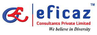 Efficaz Consulting & Solutions Image