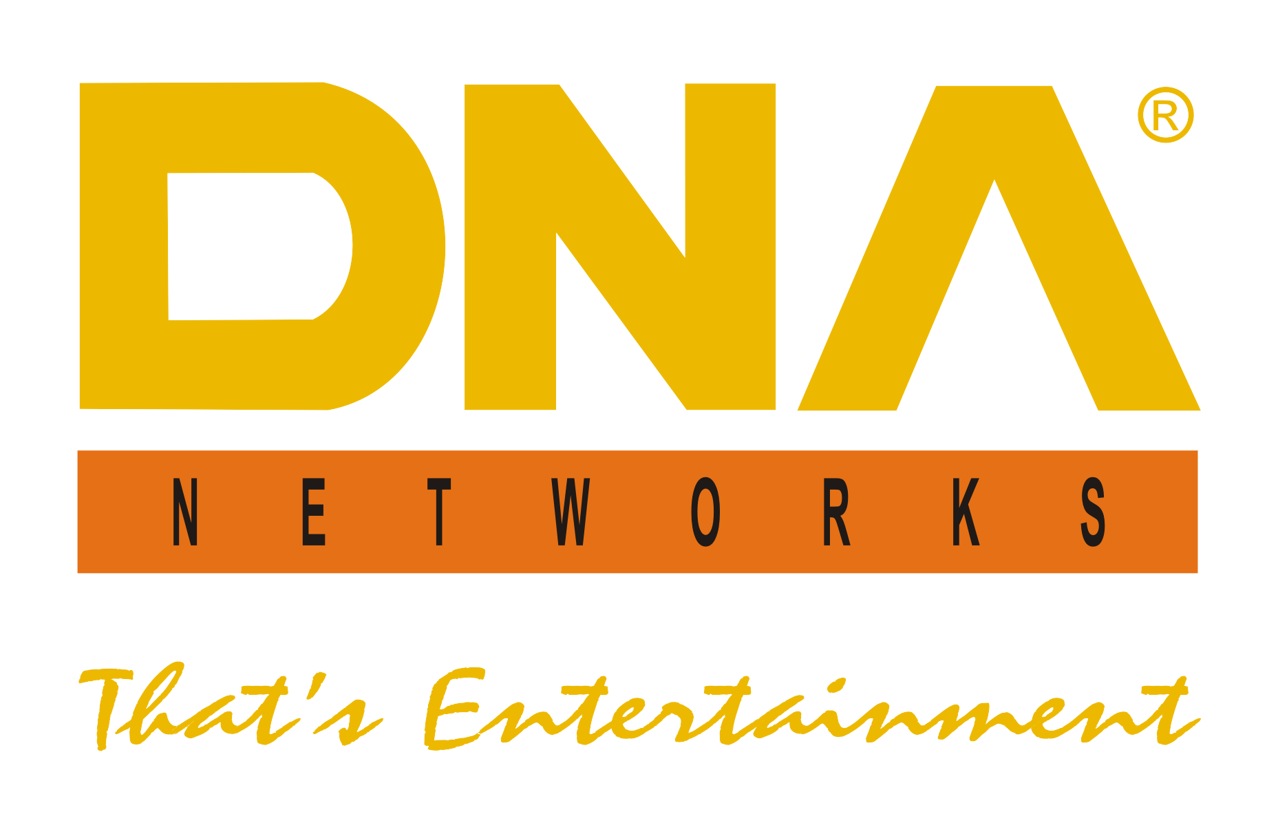 DNA Entertainment Networks Pvt Ltd Image