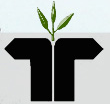 Tyroon Tea Company Ltd Image