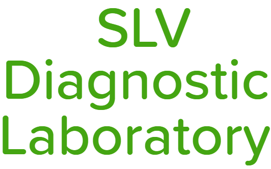 SLV Diagnostic Laboratory - Marathahalli - Bangalore Image