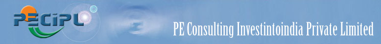 PE Consulting Investintoindia Pvt Ltd Image