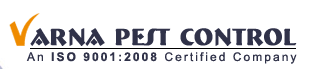 Varna Pest Control Image