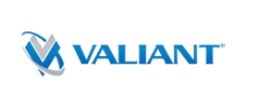 Valiant-TMS Systems Pvt Ltd Image