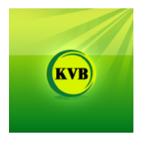 kvb mpay app