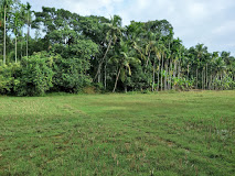 Munderi Kadavu Bird Sanctuary - Munderi Image