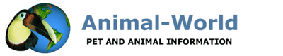 Animal-World Image