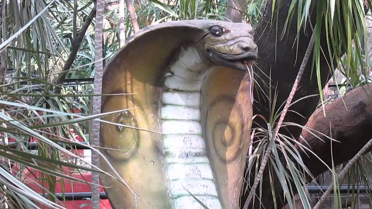 Katraj Snake Park - Pune Image