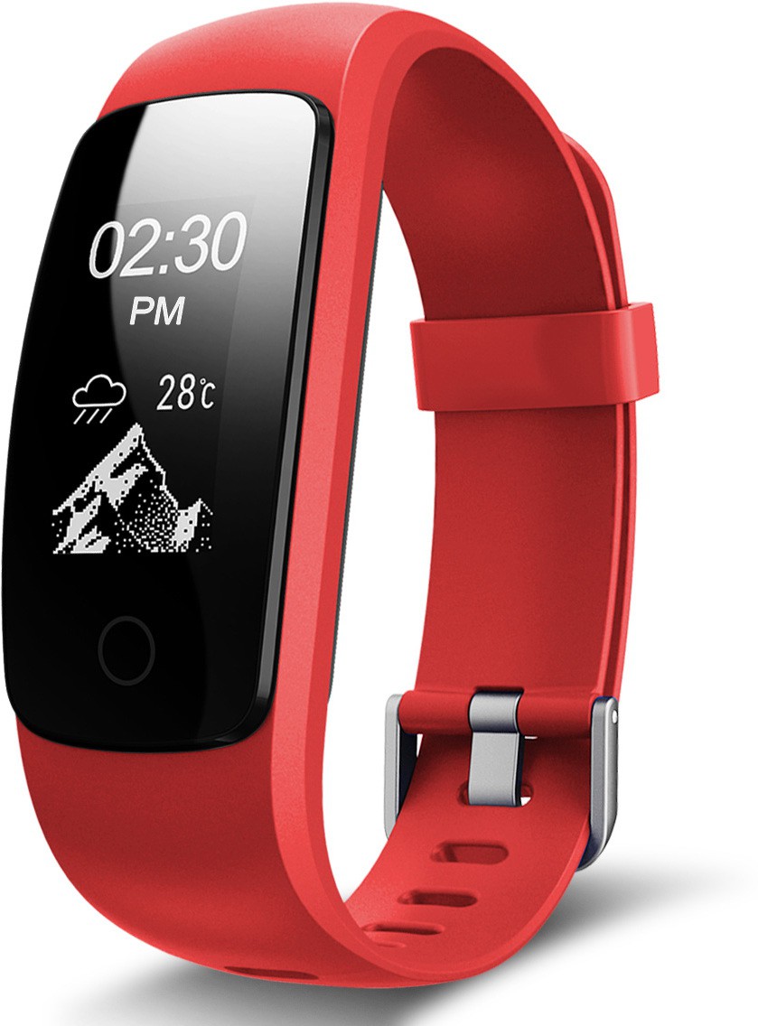 fbandz ID107 PLUS Fitness Band Image