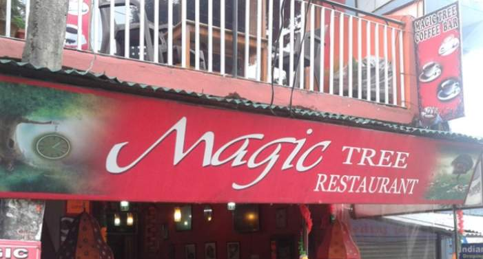 Magic Tree Coffee Shop - McLeod Ganj - Dharamshala Image