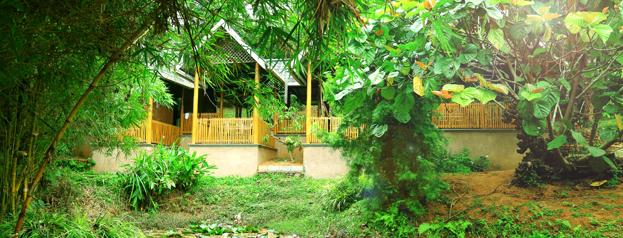 Vythiri Greens Resort - Lakkidi - Wayanad Image