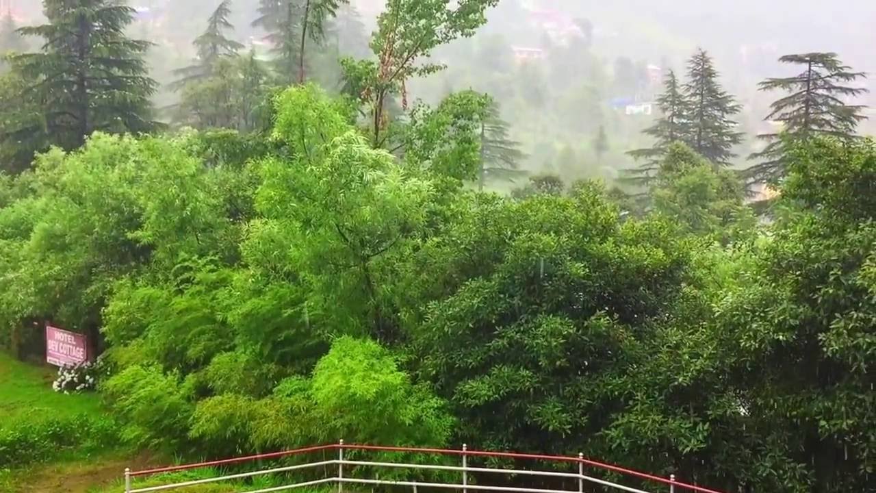 Ethereal - Dharamshala Image