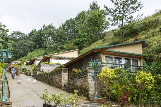 Rakkh Resort - Dharamshala Image