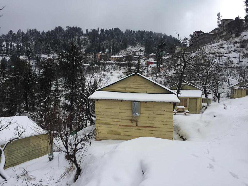 Apple Farms Kufri - Shimla Image