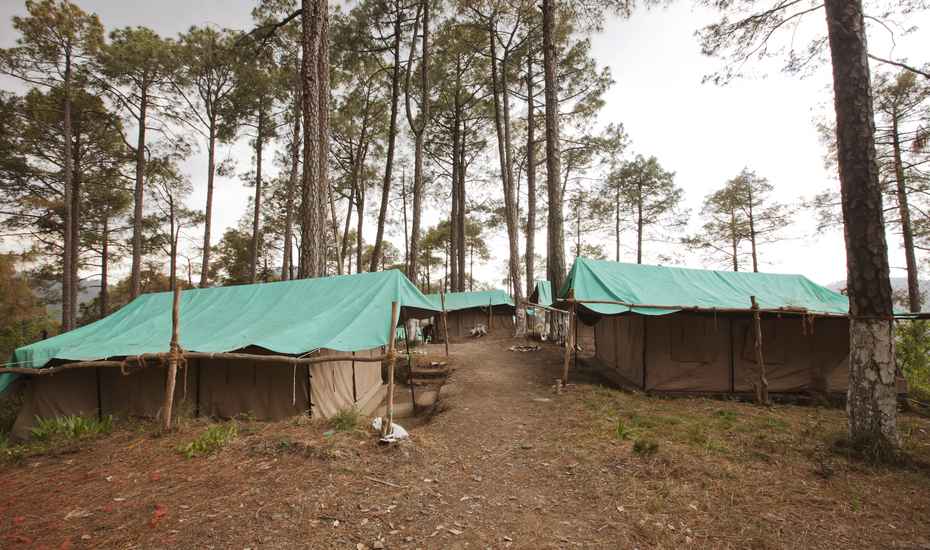 Camp Potters Hill - Shimla Image