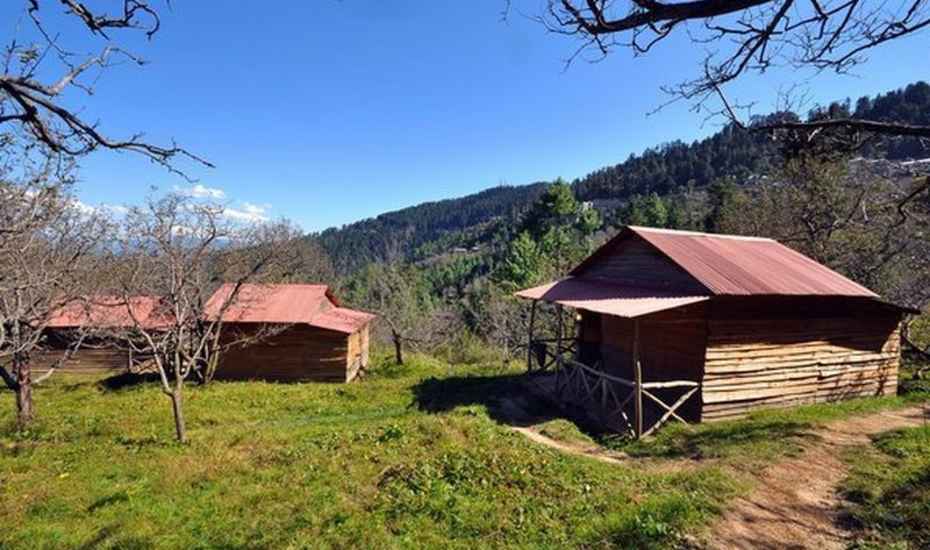 Eco Village - Shimla Image