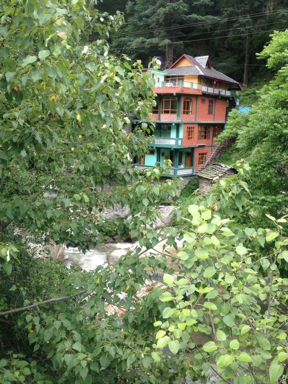 Whitemushroom - Kasauli - Solan Image