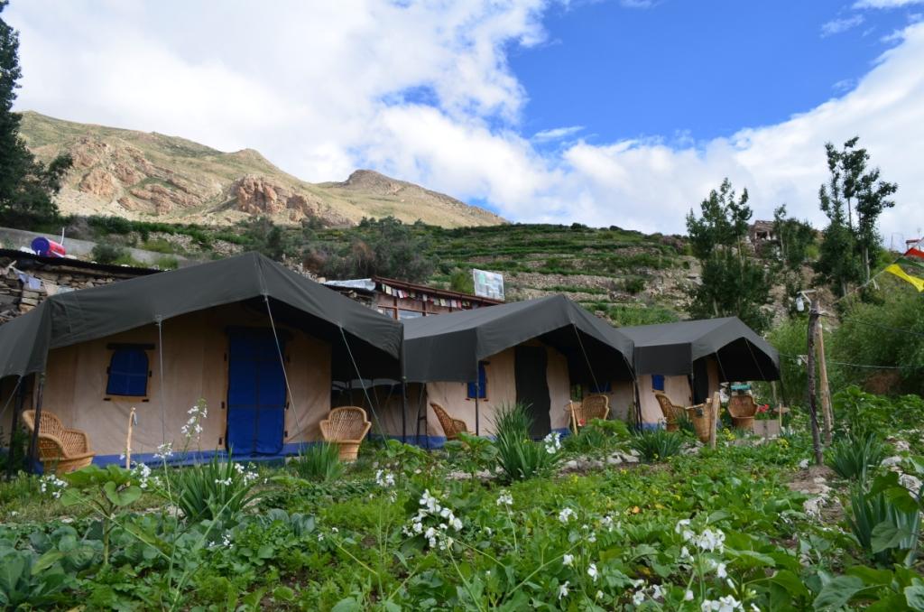 Knaygoh Kinner Camps - Kinnaur Image