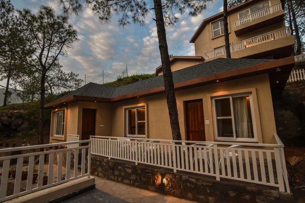 Jungle Lodge - Solan Image