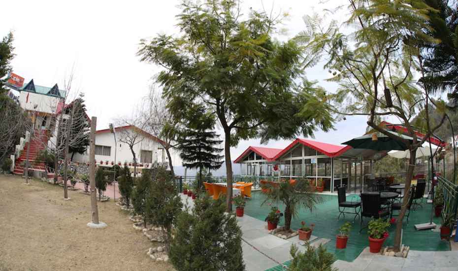 Maple Resort Chail - Solan Image