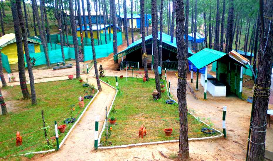 Pine Hills Eco Camp - Solan Image