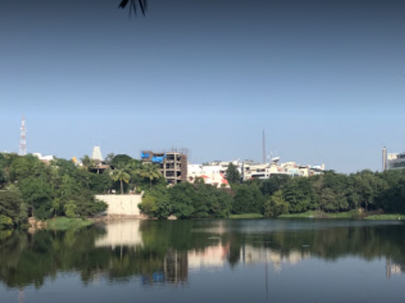 Lotus Pond Jubilee Hills - Hyderabad Image