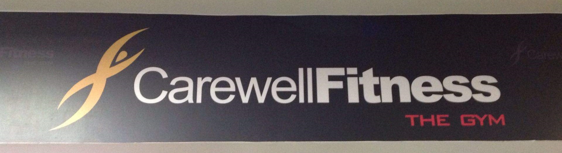 Carewell Fitness The Gym - Mulund East - Mumbai Image