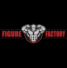 Figure Factory Gym - Andheri East - Mumbai Image