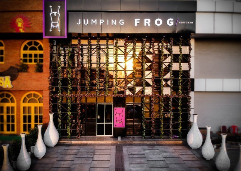 Jumping Frog - CBD-Belapur - Navi Mumbai Image