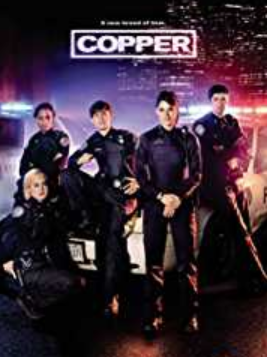 Rookie Blue Image