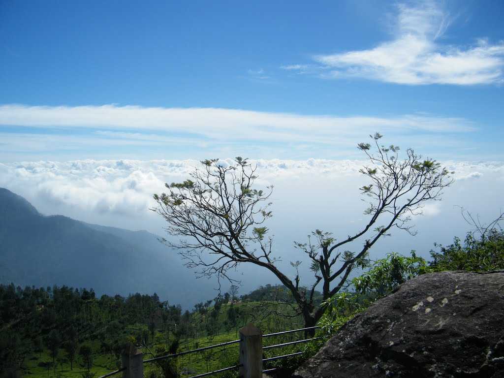 Dolphin's Nose - Ooty Image