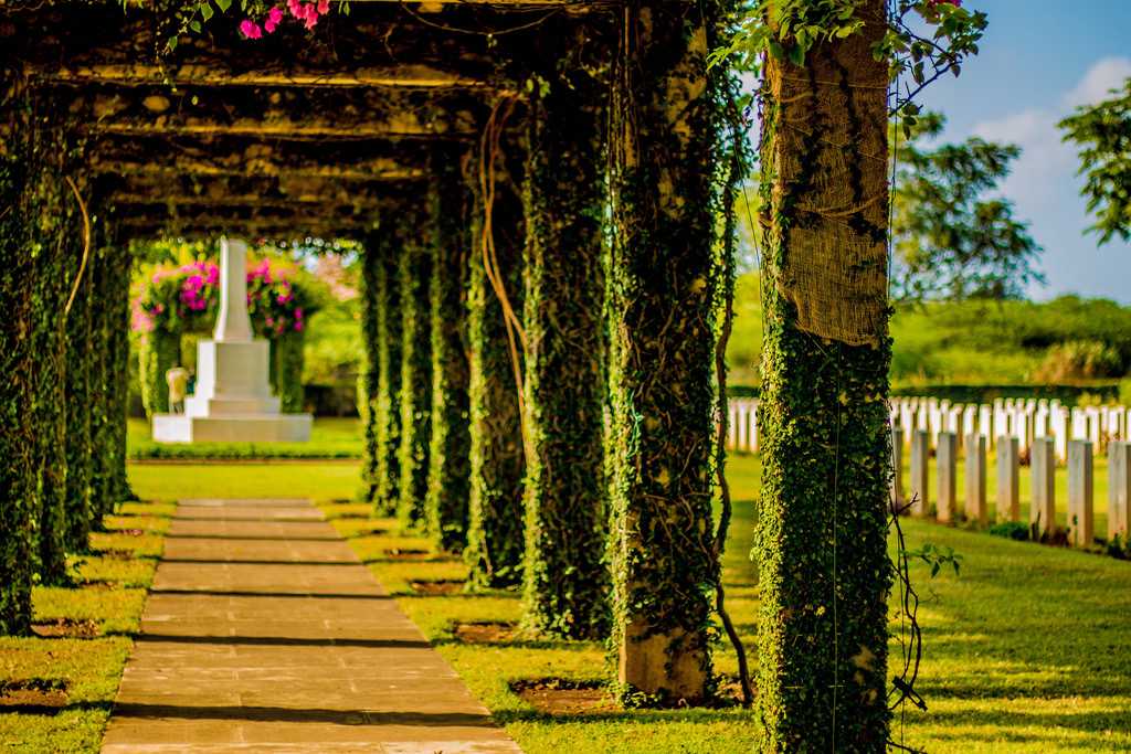 Madras War Cemetery - Chennai Image