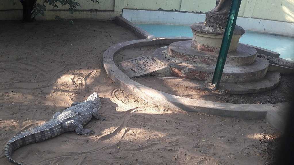 VOC Park and Zoo - Coimbatore Image