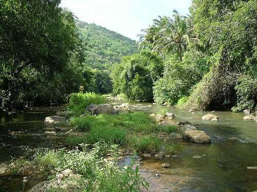 Vydehi Falls - Coimbatore Image