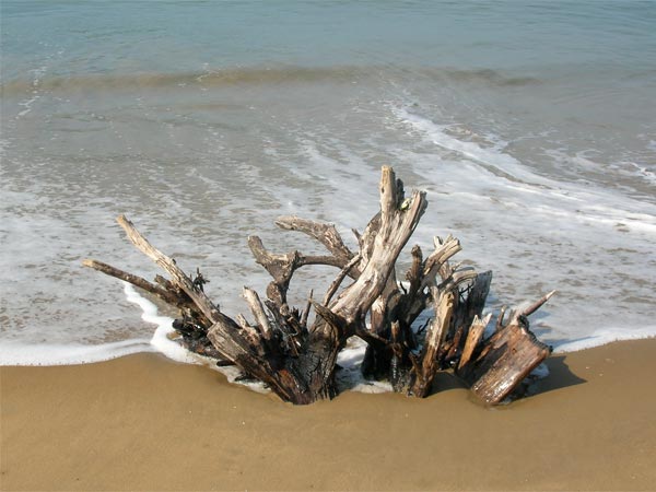 Koodi Bagh Beach - Karwar Image