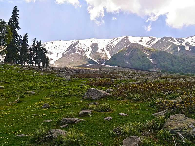 Apharwat Peak - Gulmarg Image