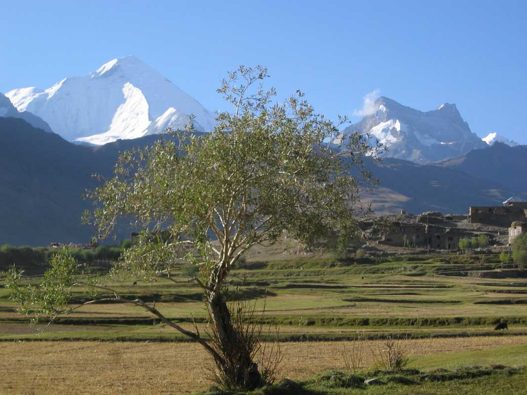 Suru Basin - Kargil Image