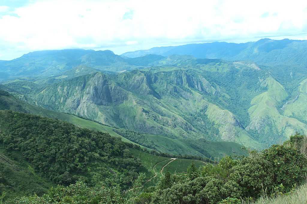 Meesapulimala - Munnar Image