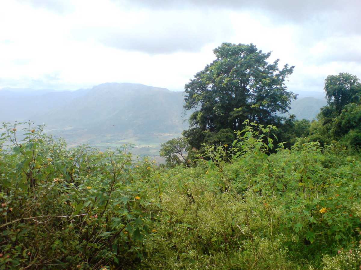 Chellarkovil Viewpoint - Thekkady Image