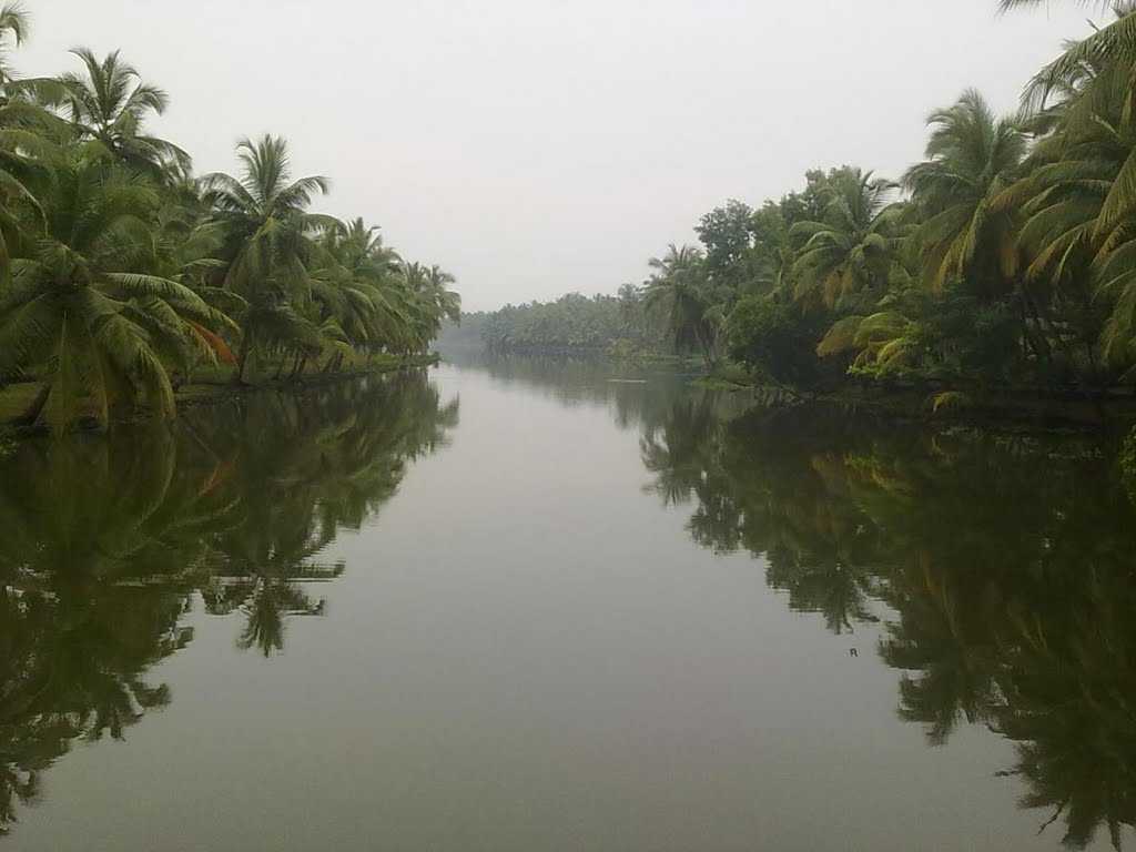 Canolly Canal - Kozhikode Image