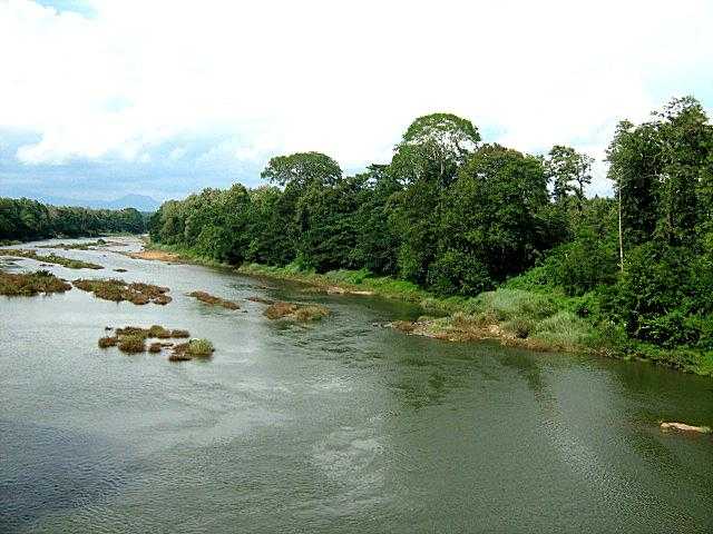 Kallai River - Kozhikode Image