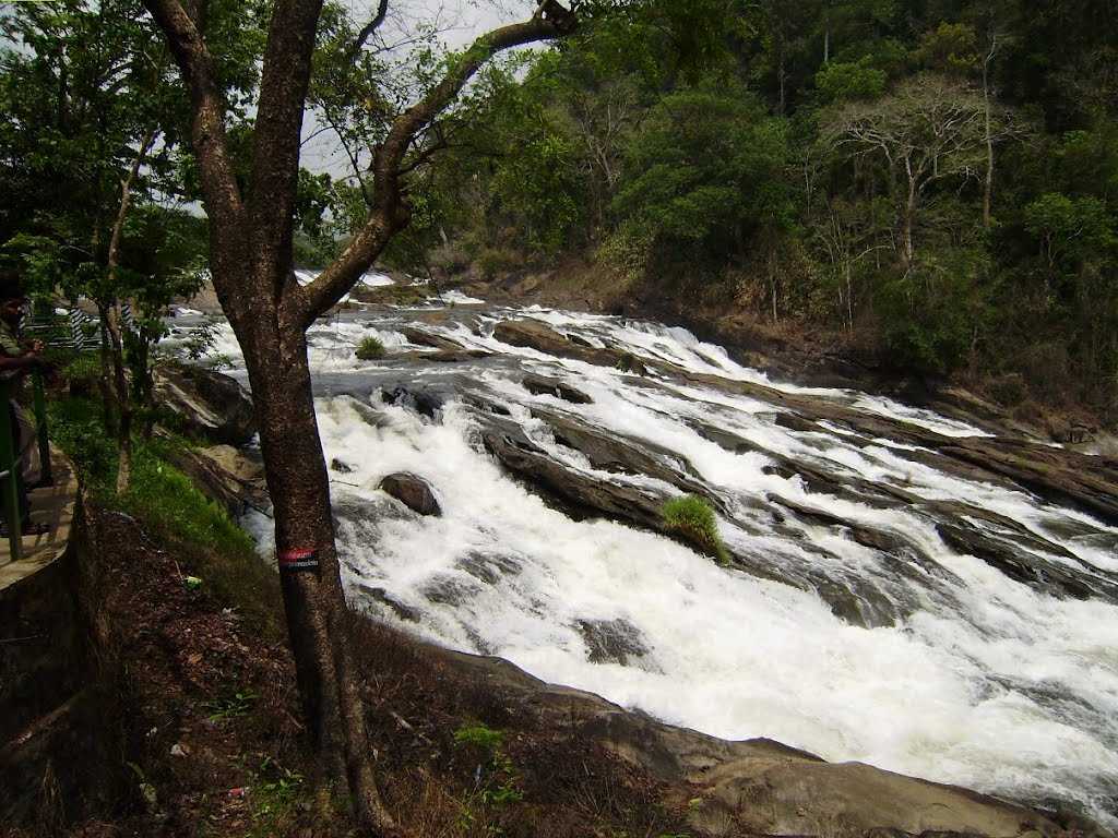 Vazhachal Falls - Thrissur Image