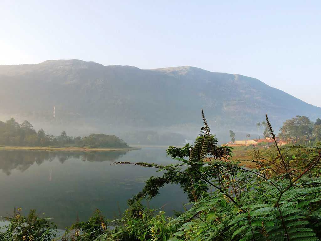 Malankara Dam - Idduki Image