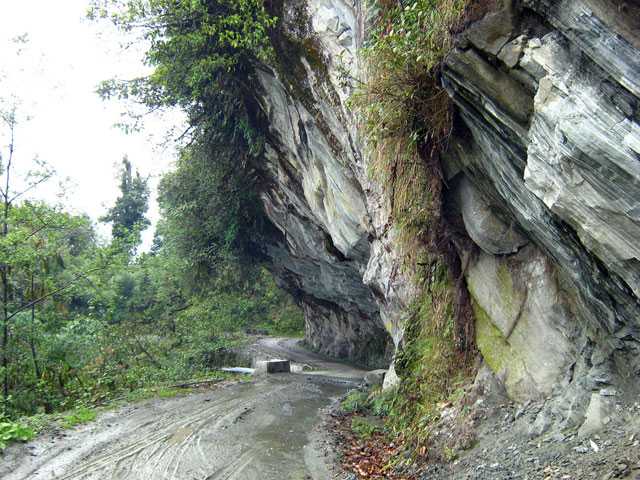 Itanagar Wild Life Sanctuary - Itnagar Image