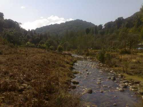 Tarin Fish Farm Ziro Image