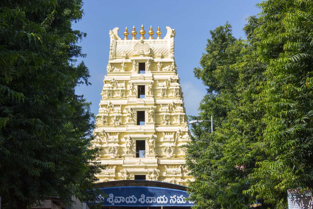 Bhramaramba Devi Temple - Srisailam Image