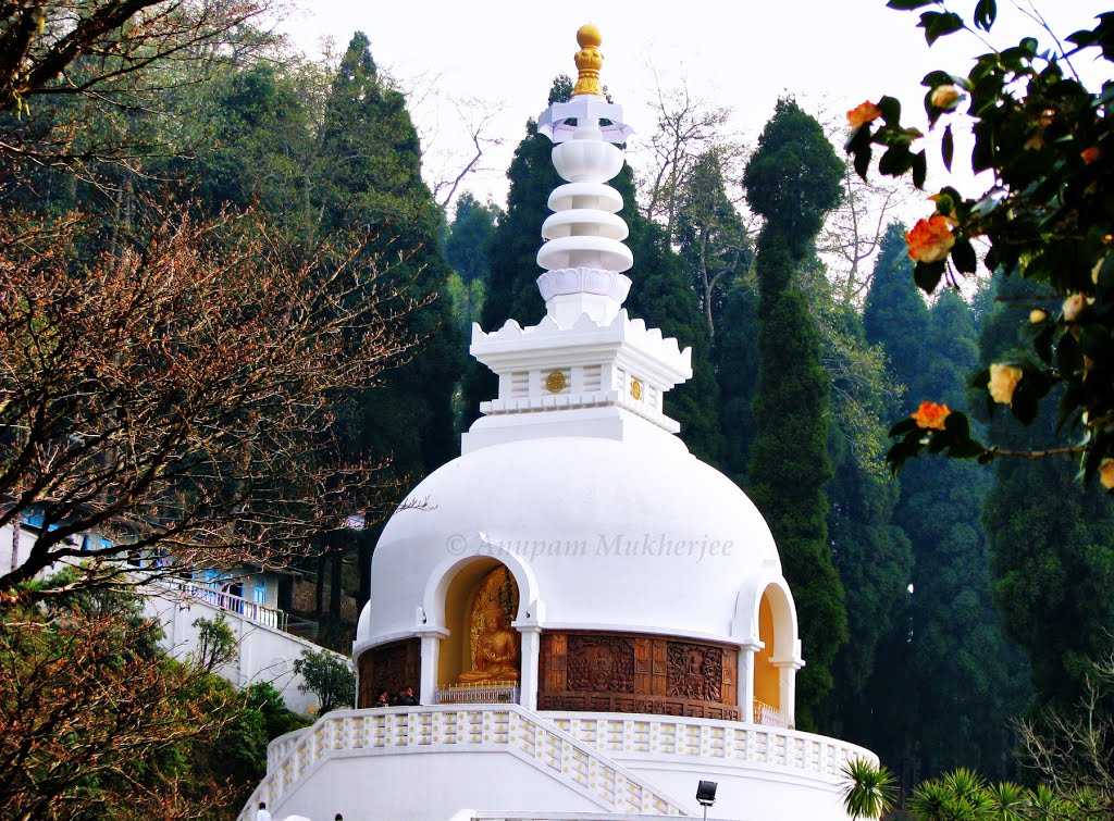 Japanese Peace Pagoda - Darjeeling Image