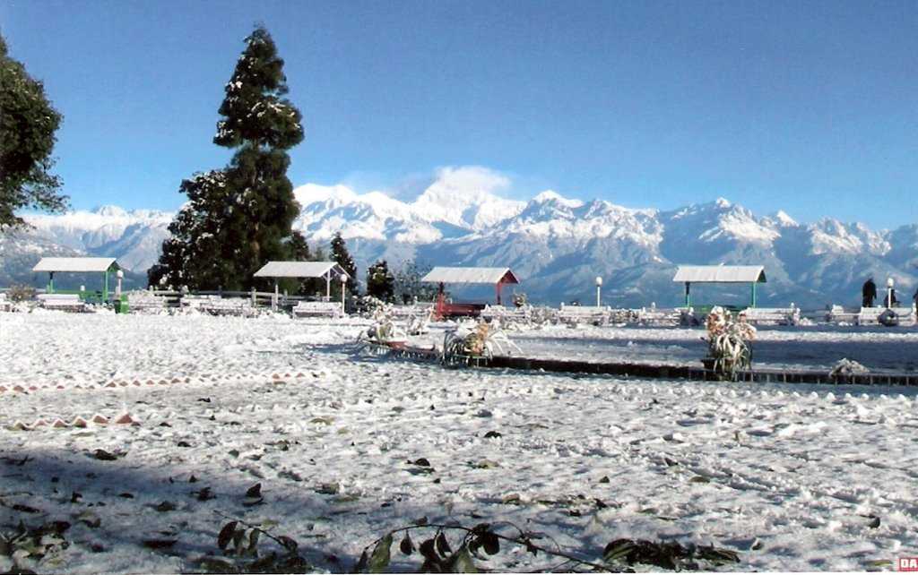 Nightingale Park - Darjeeling Image